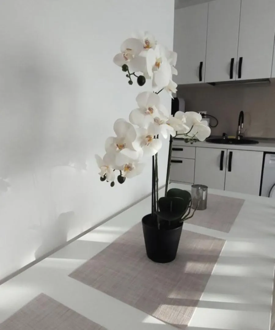Apartman Brancoveanu Apartament'S Bukarest