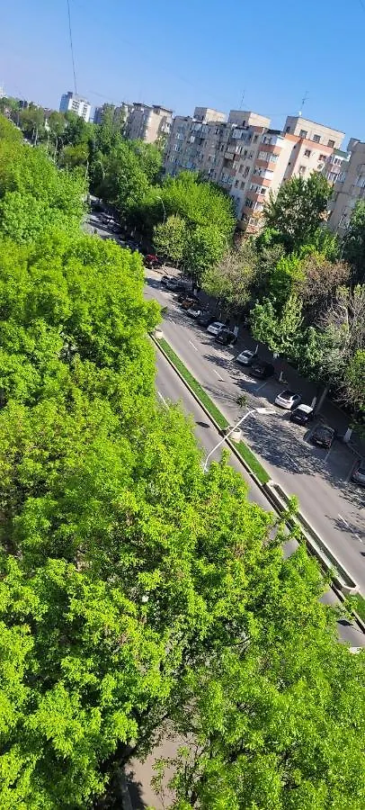 Brancoveanu Apartament'S Бухарест Румыния