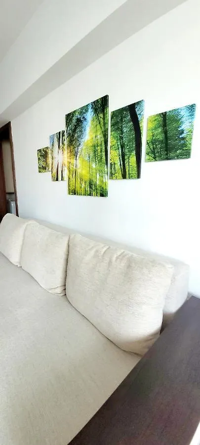 Апартаменты Brancoveanu Apartament'S Бухарест